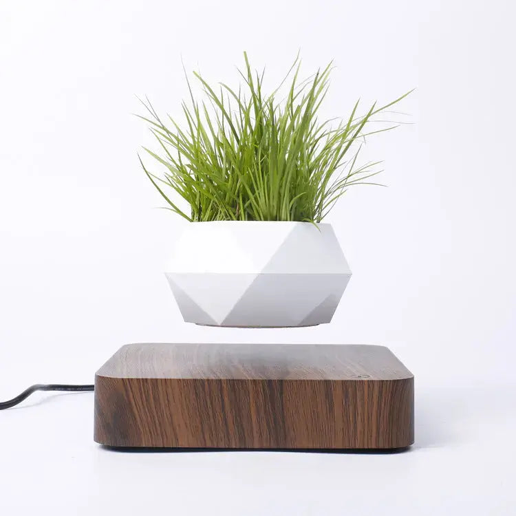 Energy Balance Planter Chic Solace